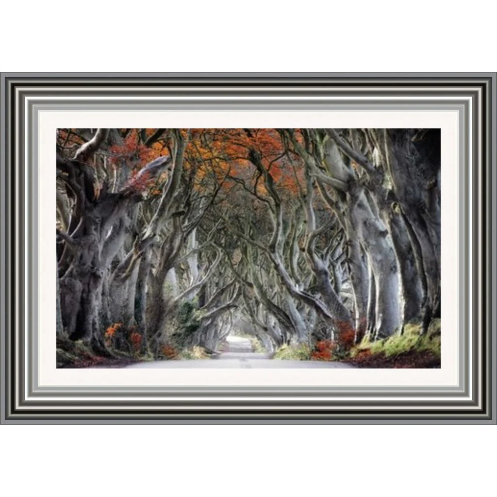 Autumn Dark Hedges Framed Picture by Artsource